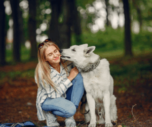 chien qui lèche
